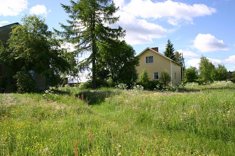 lehmila_juhannus_2005 047.jpg